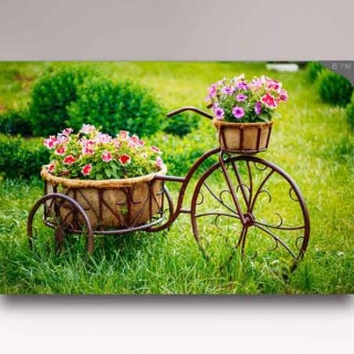 کاغذ دیواری شیدبان B716