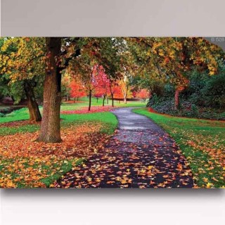 کاغذ دیواری شیدبان B528