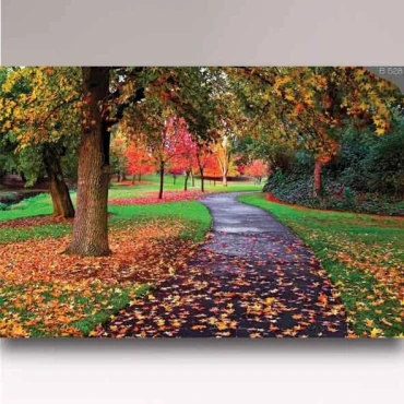 کاغذ دیواری شیدبان B528