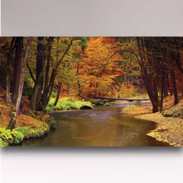 کاغذ دیواری شیدبان B569