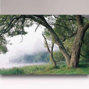 کاغذ دیواری شیدبان B573