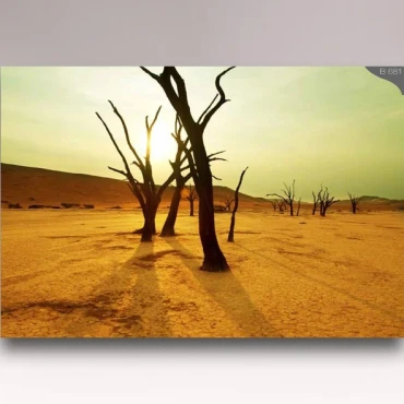 کاغذ دیواری شیدبان  B681