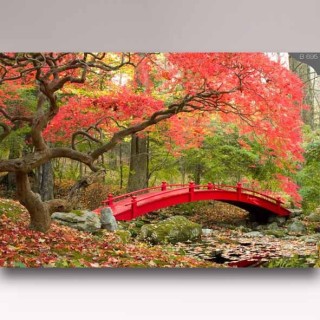 کاغذ دیواری شیدبان B695