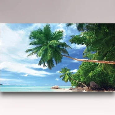 کاغذدیواری شیدبان B698