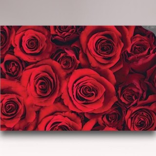 کاغذدیواری شیدبان C381 