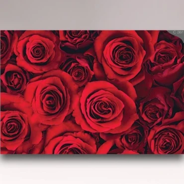 کاغذدیواری شیدبان C381 