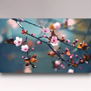 کاغذدیواری شیدبان C543 