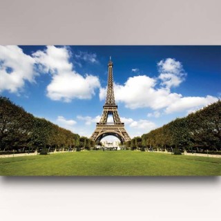 کاغذدیواری شیدبان F565