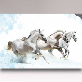 کاغذدیواری شیدبان H781