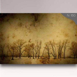 کاغذدیواری شیدبان N150