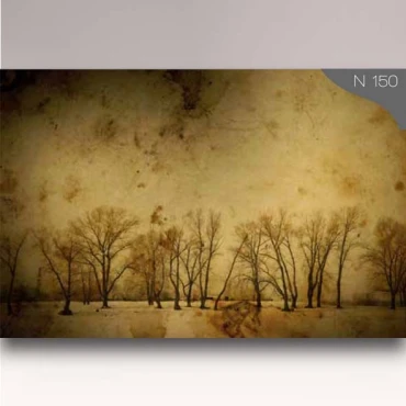 کاغذدیواری شیدبان N150