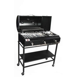 باربیکیو گازی حسینی مدل آریا