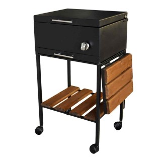 باربیکیو با پایه چوب دار BFT-051 امین