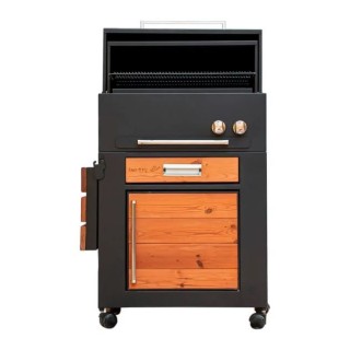 باربیکیو گازی ذغالی امین مدل BWRC-062