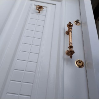 درب رویه فلز اکونومی ضد دیلم مدل آرامیس