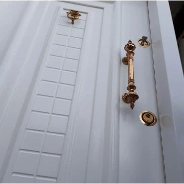 درب رویه فلز اکونومی ضد دیلم مدل آرامیس