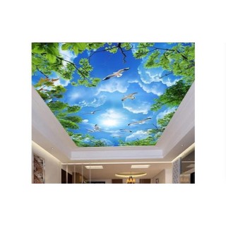 پوستر دیواری سقف آسمان مجازی GR0002