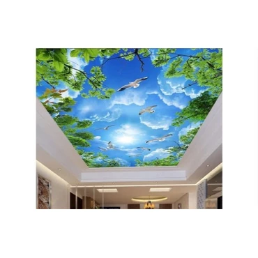 پوستر دیواری سقف آسمان مجازی GR0002