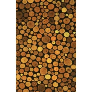 پارکت واریو کلیک کد 7020