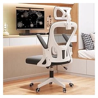 ALMEKAQUZ Computer Chair for Student