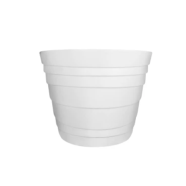 وان کورینی زنو مدل ZW03 ZENO