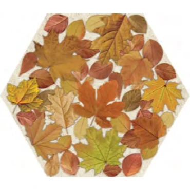 سرامیک 53.5×62 مات ایفا سرام مدل یوکا 2، 15.5 میل