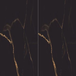 سرامیک 80×160 نانو پولیش ایفا سرام مدل کاترینا مشکی 13 میل