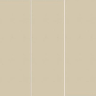 سرامیک 40×120 مات تبریز مدل آتلانتا استخوانی