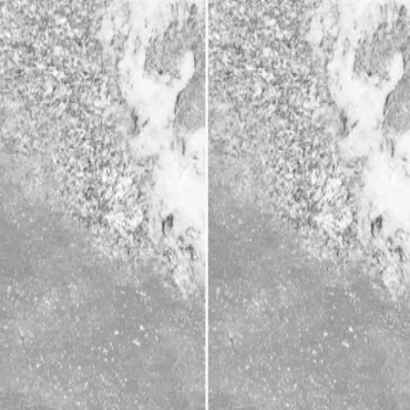 سرامیک 30×60 چیتا مدل ملورین