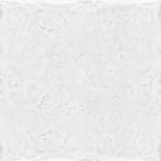 سرامیک 20×20 البرز مدل ایکوت سفید