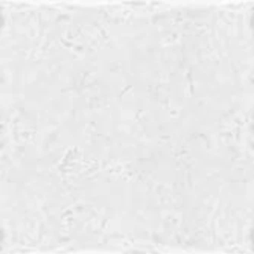 سرامیک 20×20 البرز مدل ایکوت سفید