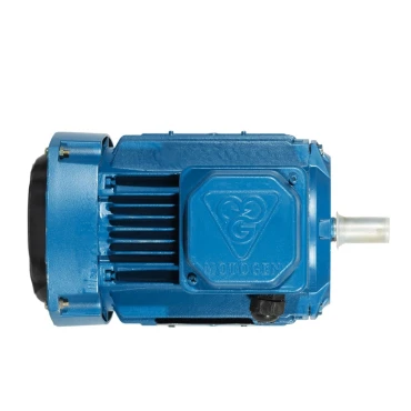 الکتروموتور موتوژن تبریز 1 اسب 0.75 کیلووات سه فاز پوسته آلومینیوم