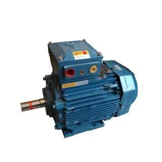 الکتروموتور موتوژن تبریز 7.5 اسب 5.5 کیلووات ضد انفجار چدنی