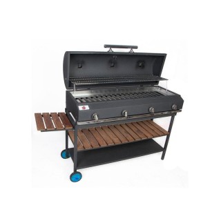 باربیکیو گازی مدل آرین  حسینی